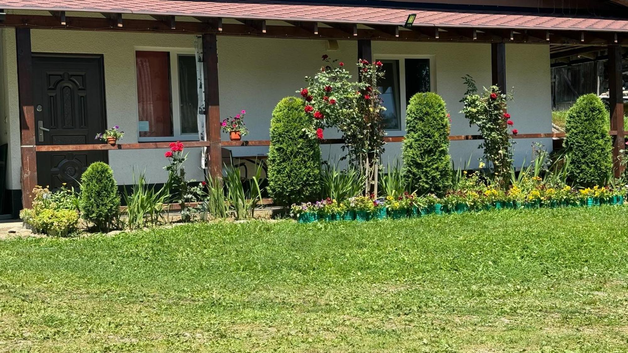 מלון Dacha Podobovets 127 מראה חיצוני תמונה